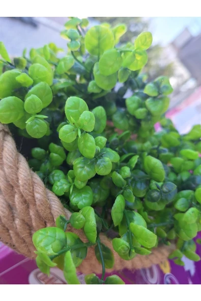 YASİMA YASİMA1 ADET  MİNİK YAPRAKLI YEŞİL  YAPAY ÇİÇEK EV DEKORASYON ARANJMAN DEKOR BALKON 30 CM ürün görseli 1