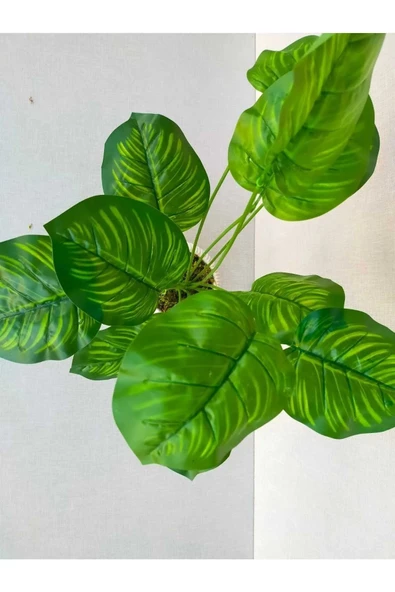YASİMA Yapay Salon Çiçeği Difenbahya 12 Dallı 52 Cm -difenbahya ürün görseli 1