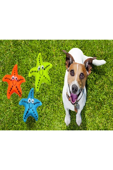 Ayver KEDİ KÖPEK OYUNCAĞI SESLİ DENİZ YILDIZI YUMUŞAK ESNEK OYUNCAK ürün görseli 1