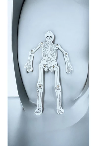 Ayver İSKELET KALIN KARTON ÜZERİ RESİM OYNAR PUNTALI 28 CM ürün görseli 1