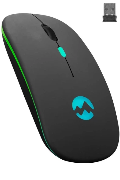 Everest Ledli Şarjlı Kablosuz Mouse Siyah Smw-710 ürün görseli 1