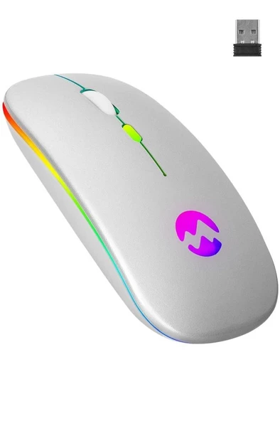 Everest Ledli Şarjlı Kablosuz Mouse Gümüş Smw-710 ürün görseli 1