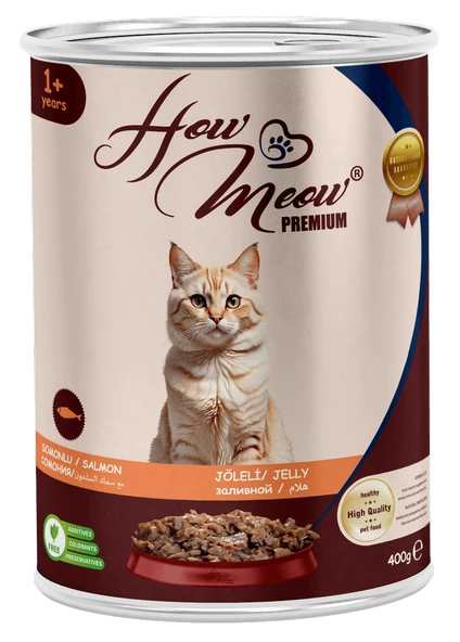 HOW MEOW 12 ADET JÖLELİ PARÇA ETLİ YETİŞKİN KEDİ YAŞ MAMASI SOMONLU 400 GRAM ürün görseli 1