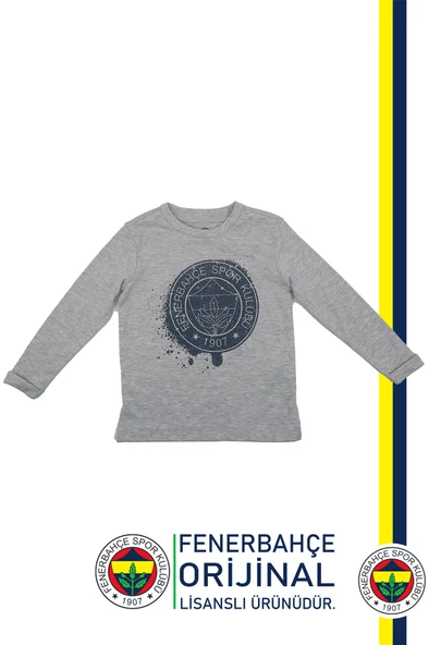 Fenerbahçe Orijinal Lisanslı Yaldızlı Fb Logo Gri Çocuk Sweat ürün görseli 1