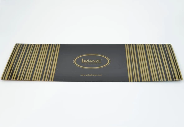 Brianze Siyah Beyaz Çizgili Kravat - Resim 4