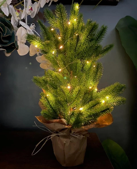 Nettenevime Yılbaşı Ağacı Led Işıklı Yapay Çam Ağacı Kraft Saksıda 55cm ürün görseli 1