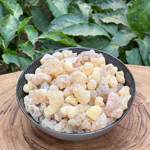 Akgünlük Sakızı 300 gr Sığla Ağacı Reçine Günlük Bitkisi %100 Doğal ürün görseli 1