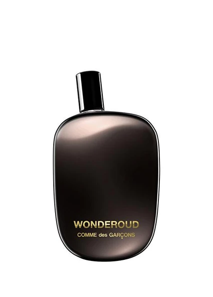 Comme des Garcons Wonderoud EDP 100 ml ürün görseli 1