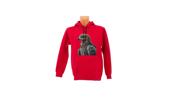 Kartal baskılı Sweatshirt ürün görseli 1