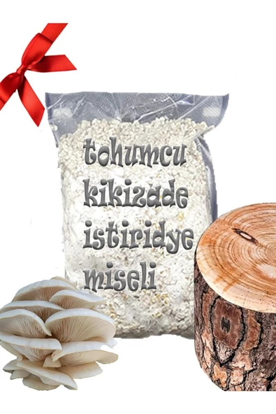 Kavak Ağacı Mantarı Tohumu Miseli 5kg Yeni Misel Istiridye Mantarı ( Rehber Hediyeli ) Kayın,kavak ürün görseli 1