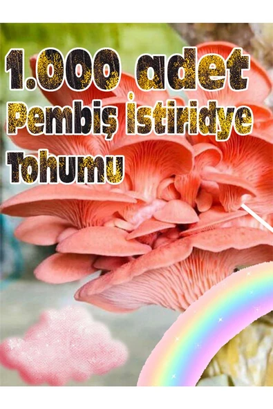 Pembe Istiridye Mantarı Miseli Tohumu Vakumlu 100 gram ( Ekim Kılavuzu) ürün görseli 1