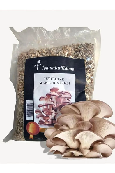 Istiridye Mantarı Miseli Tohumu Vakumlu 1 Kg Tohum 3 Adet Micro Delikli Torba ( Ekim Kılavuzu) ürün görseli 1