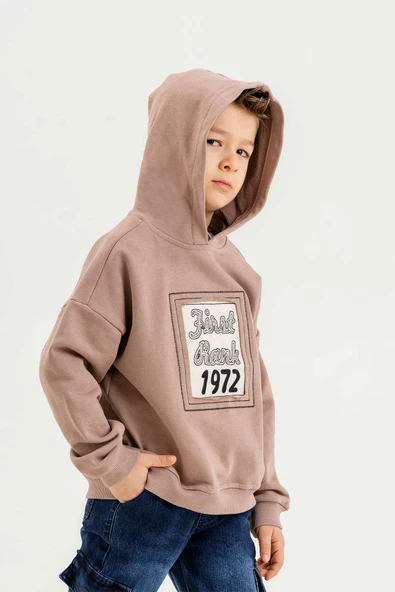 Kapüşonlu %100 Pamuk 3 İplik Erkek Çocuk Sweatshirt ürün görseli 1