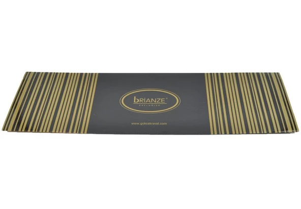 Brianze Desenli 3'lü Kravat Ve Mendil Set - Resim 5