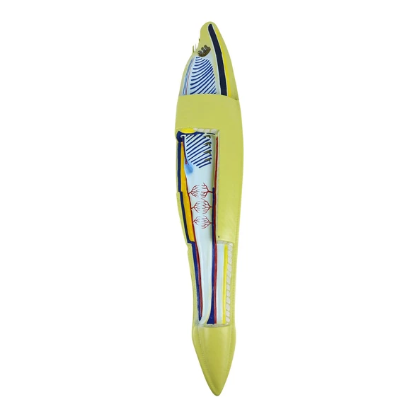 BATRAK MODELİ - Resim 3