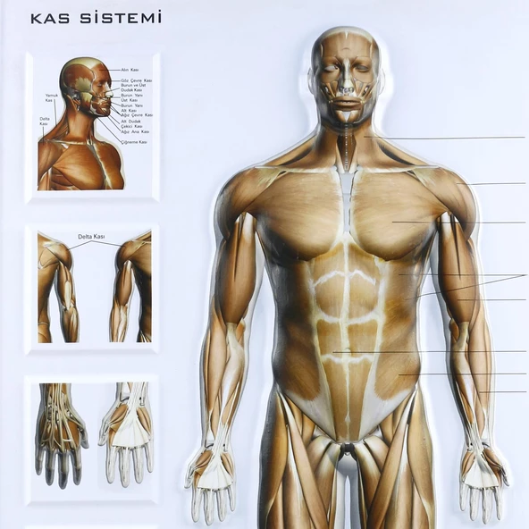 KAS SİSTEMİ LEVHASI KABARTMA - Resim 2