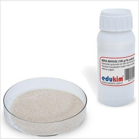 BİRA MAYASI (100 GR.'LIK PAKET) - Resim 2