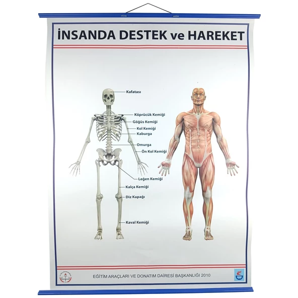 DESTEK VE HAREKET SİSTEMİ (İSKELET) LEVHASI ürün görseli 1