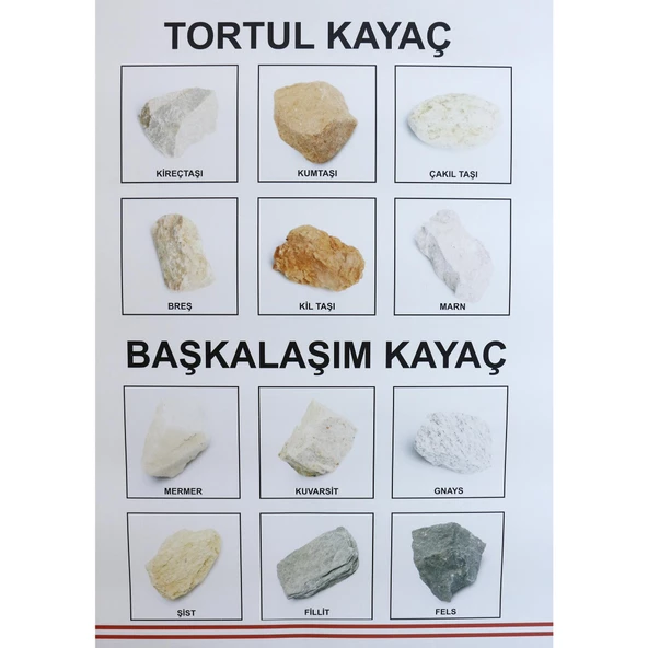 KAYAÇ KOLEKSİYON LEVHASI - Resim 3
