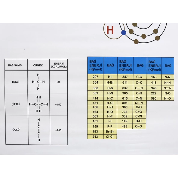 BAĞ ENERJİLERİ TABLOSU - Resim 3