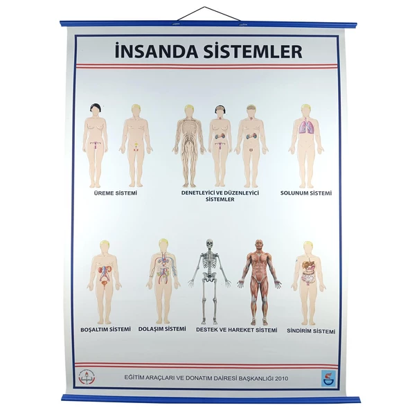 İNSANDA SİSTEMLER LEVHASI (70X100) ürün görseli 1