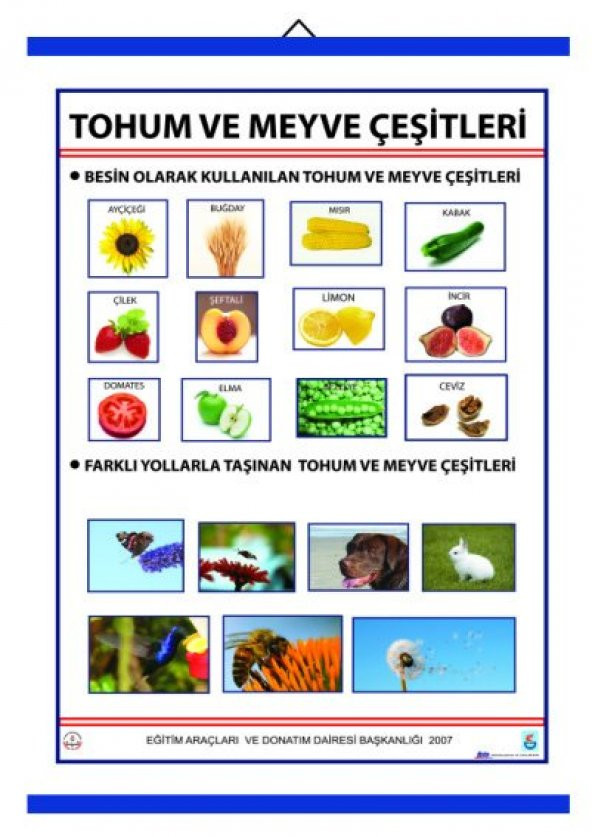 TOHUM VE MEYVE ÇEŞİTLERİ LEVHASI (70X100 CM) ürün görseli 1