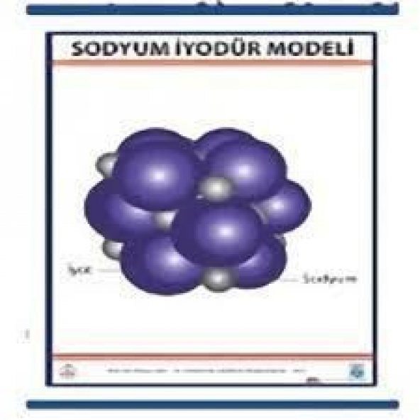 SODYUM İYODÜR (NAL) MODELİ LEVHASI (70X100 CM) ürün görseli 1