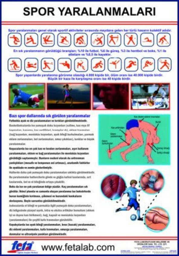 Spor Yaralanmaları Eğitim Plakası ürün görseli 1