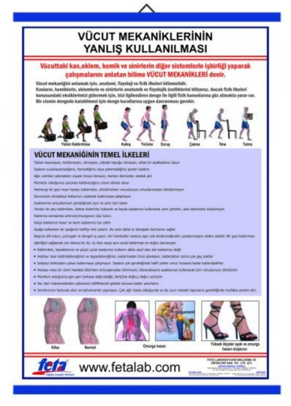 Vücut Mekaniğinin Yanlış Kullanılması Sonucu Oluşan Bozukluklarla İlgili ürün görseli 1