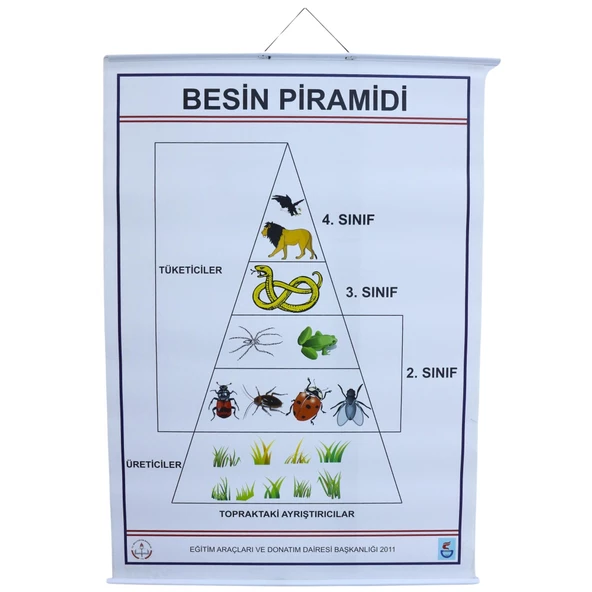 BESİN PRAMİDİ ürün görseli 1