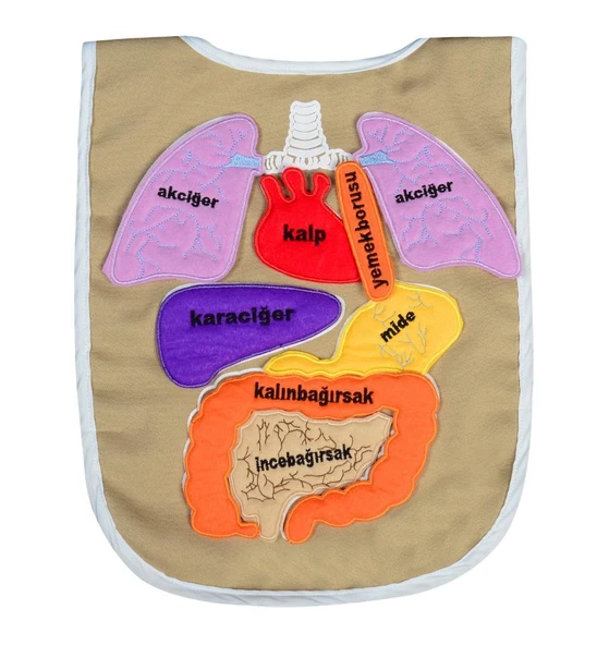 ORGAN ÖNLÜĞÜ ürün görseli 1