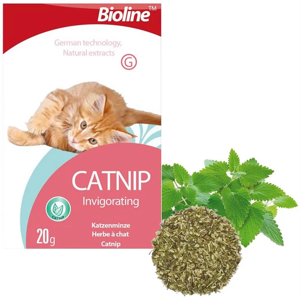 Bioline Catnip Doğal Kedi Nanesi 20 gr ürün görseli 1