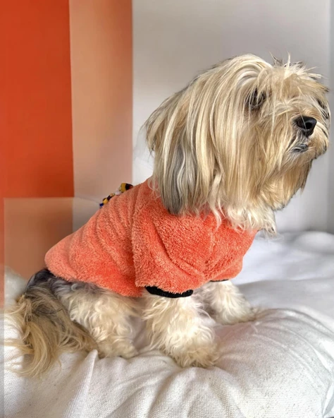 Turuncu İkizler Kapşonlu Sweat by Kemique Köpek Kazağı ürün görseli 1