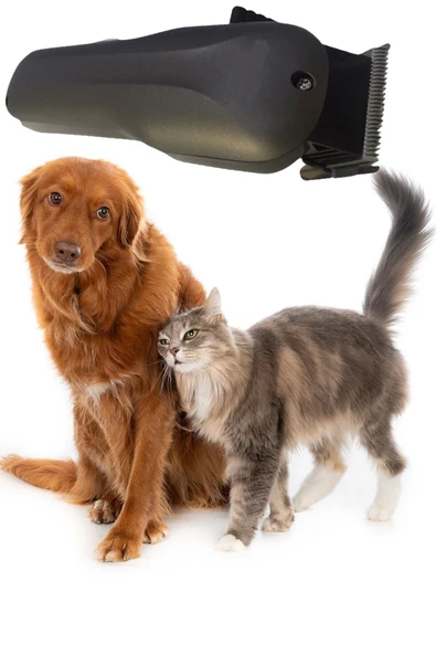 Pazariz Kedi Köpek Şarjlı Tıraş Makinesi Y5 Profesyonel Pet Tıraş Makinesi ürün görseli 1