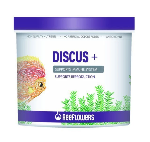Reeflowers Discus + 100 gr Poşette Skt : 08/2027 ürün görseli 1