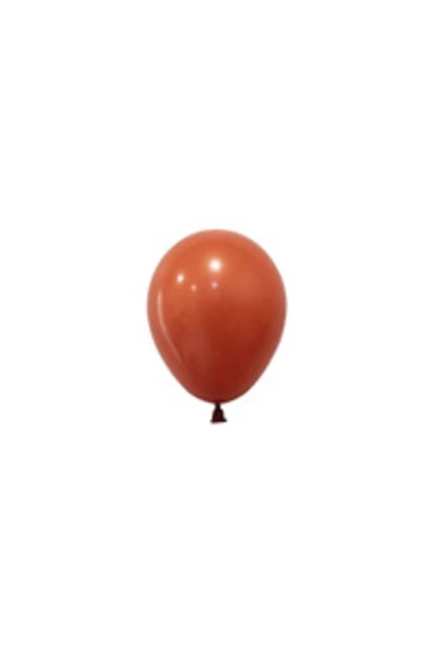 Pazariz 6 Inç Küçük Boy Balon 20 Adet Terracotta ürün görseli 1
