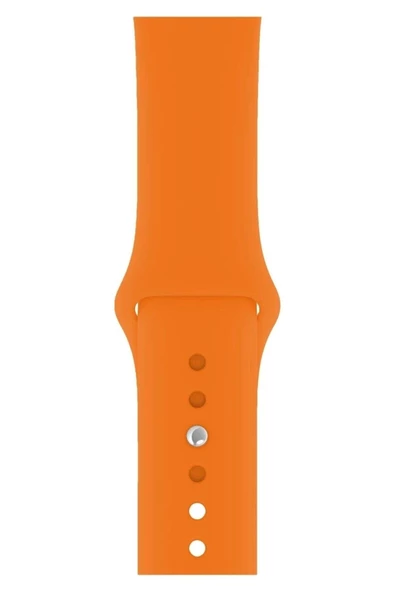 Pazariz Apple Watch Uyumlu 2 3 4 5 6 7 Se Delikli 38 40 41mm Kordon Kayış Bileklik Klasik Silikon ürün görseli 1