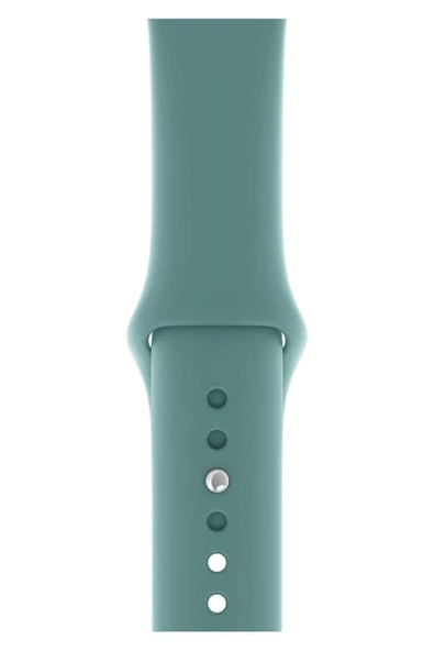 Pazariz Watch Uyumlu 3 4 5 6 7 8 Se Delikli 42 44 45mm Kordon Kayış Bileklik Klasik Silikon ürün görseli 1