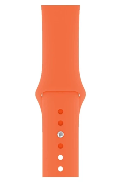Pazariz Apple Watch Uyumlu 3 4 5 6 7 8 Se Delikli 42 44 45mm Spor Slikon Kordon Kayış Bileklik ürün görseli 1
