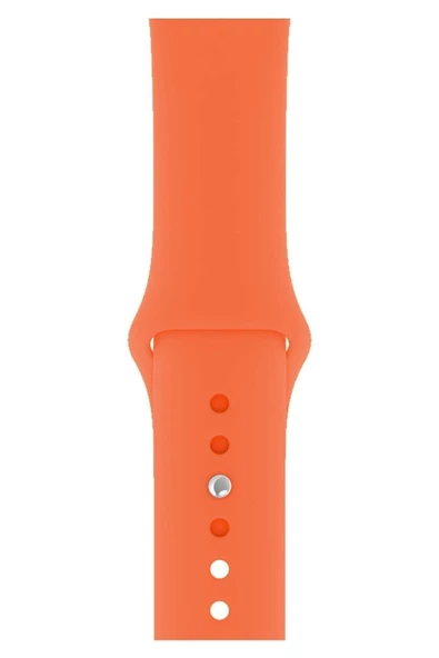 Pazariz Apple Watch Uyumlu Kordon 2 3 4 5 6 Se Seri 42 Mm Ve 44 Mm Silikon Kordon Kayış ürün görseli 1