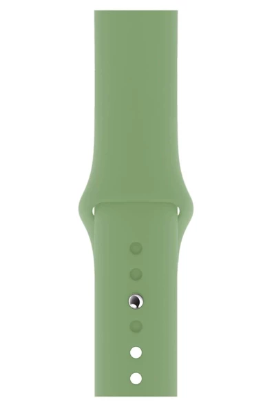 Pazariz Apple Watch Uyumlu3 4 5 6 7 8 Se 38 40 41mm Kalite Kordon Kayış Klasik Kaliteli Silikon ürün görseli 1
