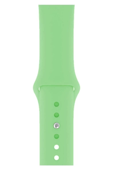 Pazariz Apple Watch Uyumlu3 4 5 6 7 8 Se 38 40 41mm Kordon Kayış Klasik Silikon Uyumlu ürün görseli 1