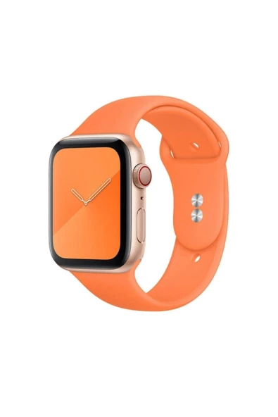 Pazariz Apple Watch Uyumlu2 3 4 5 6 7 Se 38 Mm 40 Mm Spor Sililkon Kordon ürün görseli 1