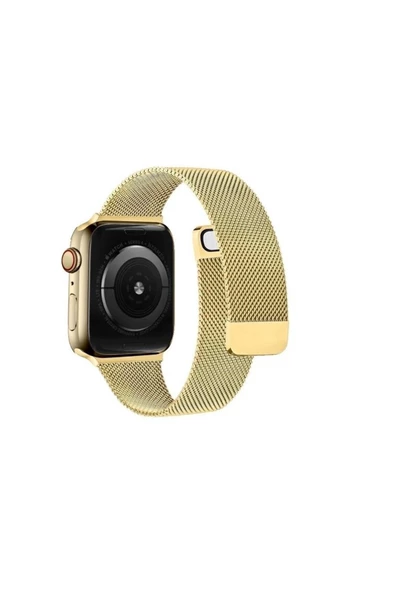 Pazariz Apple Watch Uyumlu2 3 4 5 6 7 8 Se 38 40 41 Mm Paslanmaz Çelik Milanese Kordon ürün görseli 1
