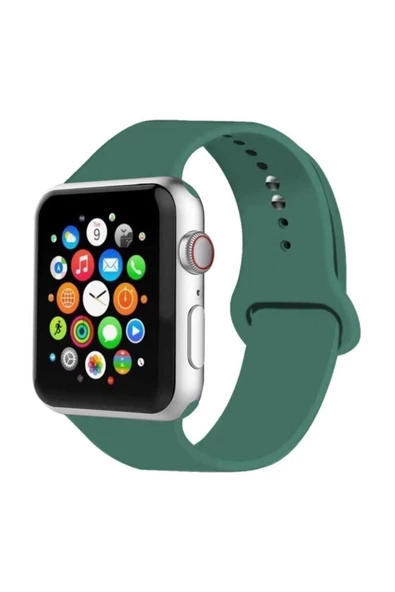 Pazariz Apple Watch Uyumlukordon ürün görseli 1