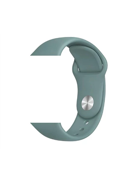 Pazariz Apple Watch Uyumluklasik Kordon 38 Mm ürün görseli 1