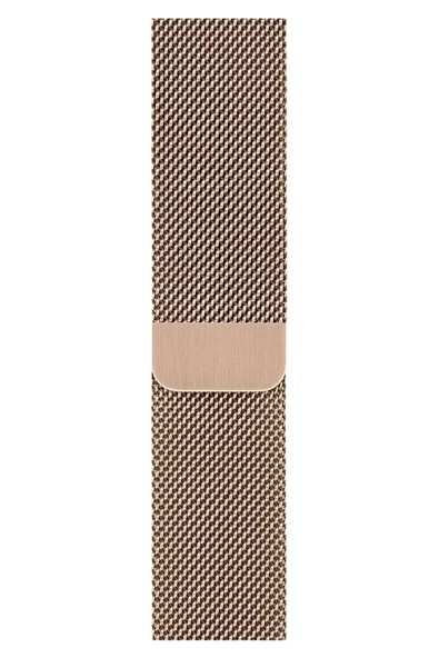 Pazariz Apple Watch Uyumlugs Dt Pro T500 Ultra 3 4 5 6 7 8 Se 42 44 45 49 Mm Kordon Kayış Metal Örgü ürün görseli 1