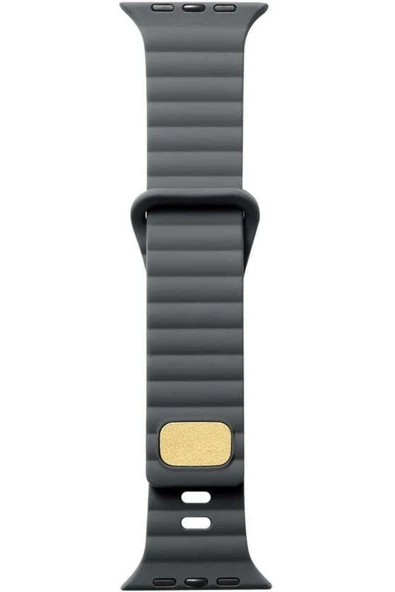 Pazariz Apple Watch Uyumluseries 8 41mm Kordon Silikon Metal Tokalı Ayarlanair Krd73 Gri ürün görseli 1