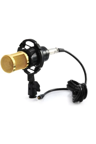 Pazariz Music D.j M800 Usb Stüdyo Youtuber Twitch Kayıt Mikrofonu Stand ürün görseli 1