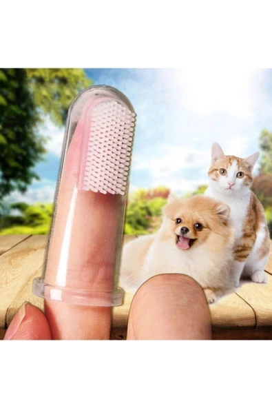 Pazariz Kedi Ve Köpek Için Parmak Diş Fırçası, Saklama Kutulu ürün görseli 1